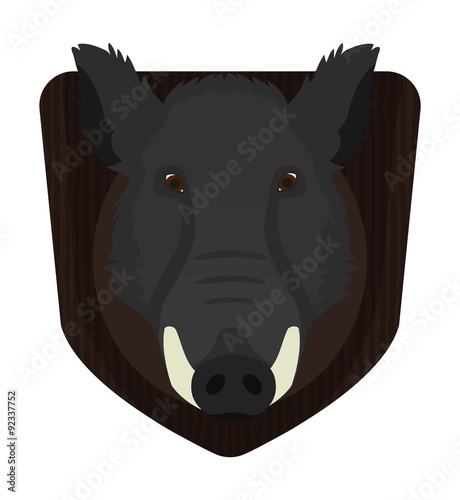 Hunting trophy. Wild boar head on wood shield