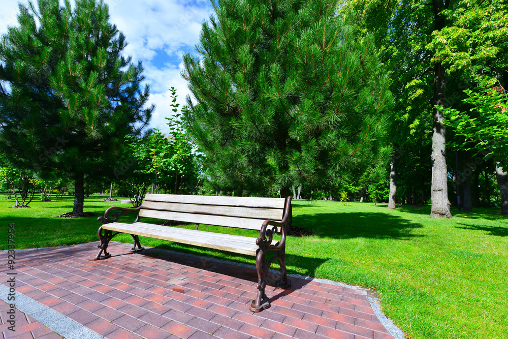 Fototapeta premium green park