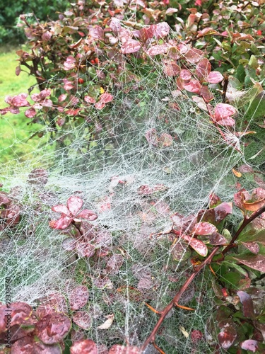 Herbstmorgen