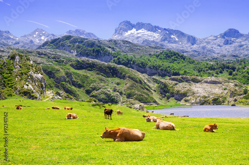 beautiful summer mountains landscape with lake and pasture