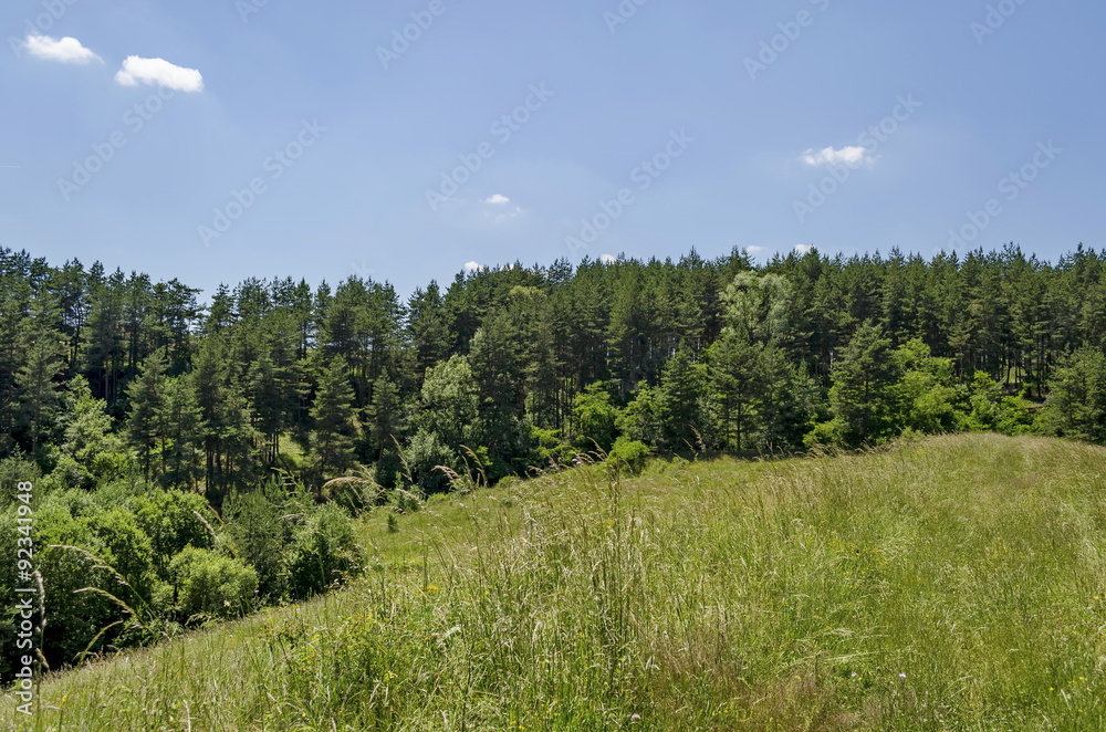 Background of sky, clouds, field  and forest, Plana mountain, Bulgaria 