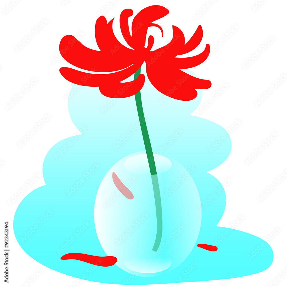 Fototapeta premium Glass Vase with Red Chrysanthemum
