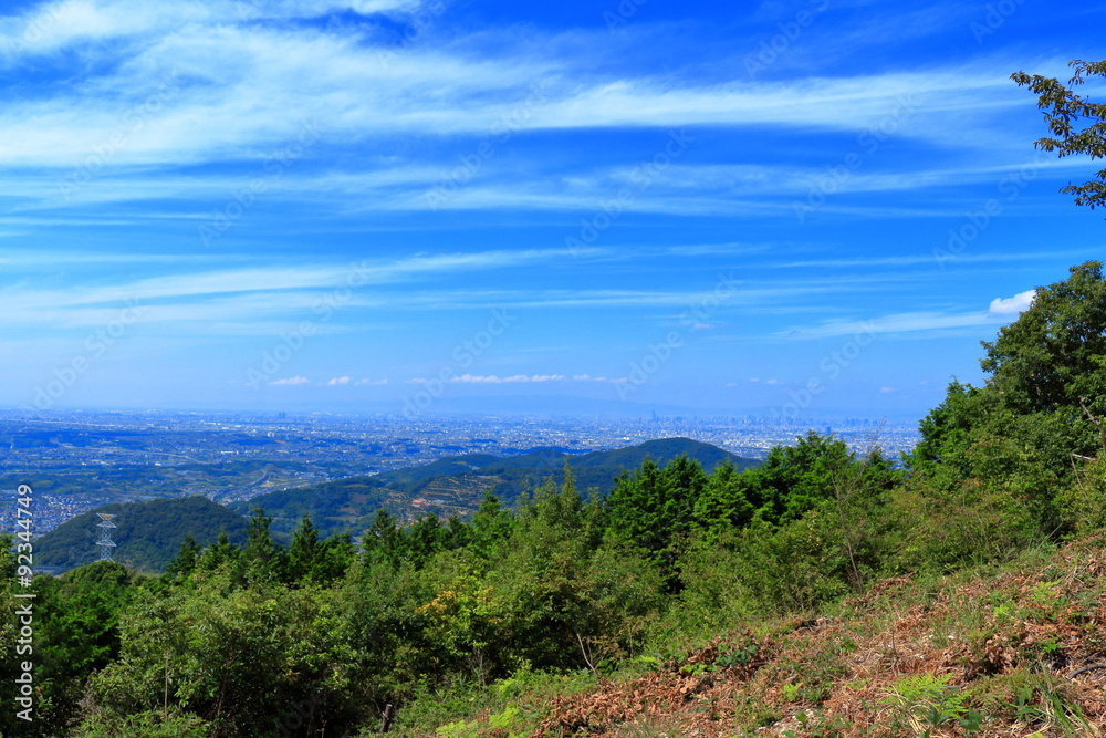 大阪平野