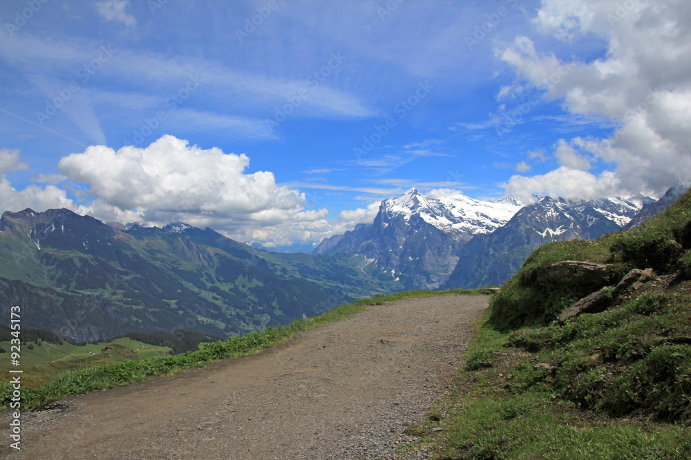 alpen in grindelwald schweiz 