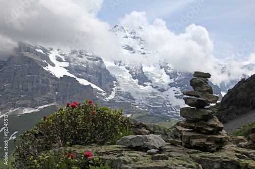 alpen in grindelwald schweiz  © Schlierner