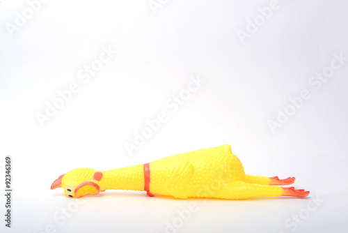 toy rubber chicken on white background