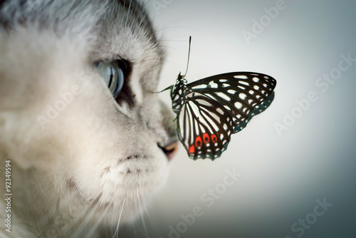Rencontre insolite