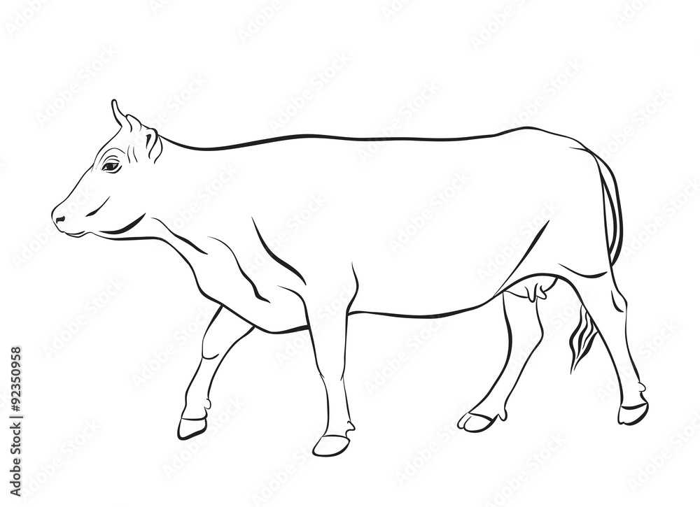 Cow drawing with floral ornament decoration Cow drawing with floral ornament decoration