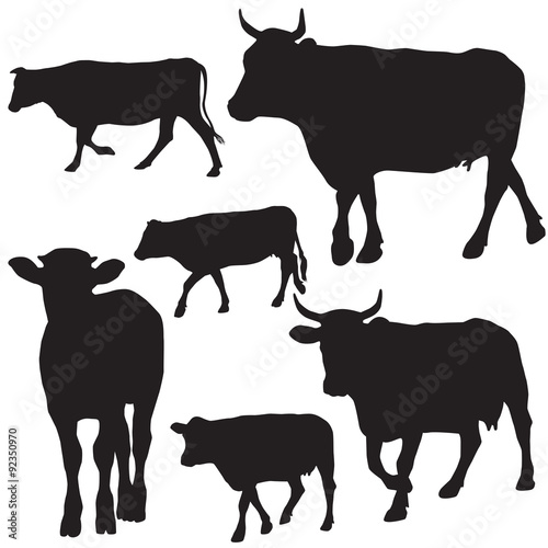 Cow set drawing with floral ornament decoration