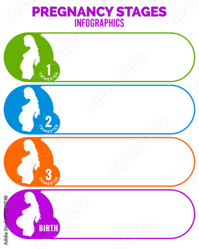 Pregnancy stages. Infographics, template.