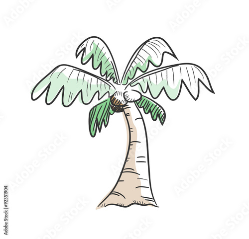 Coconut Tree, a hand drawn vector illustration of a coconut tree isolated on a white layout, simple and true :)