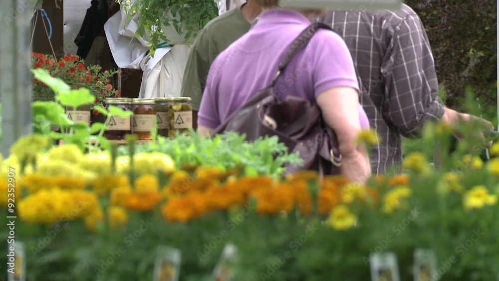 Orange and yellow flowers on display at an outdoor market Orange and yellow flowers on display at an outdoor market