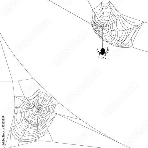 Fototapeta two spider webs