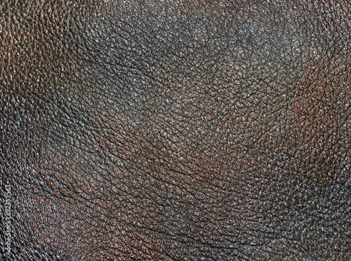  The photo shows the original background with texture and patterns of natural skin of animal origin
