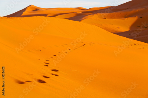 sunshine in the desert of morocco   and dune