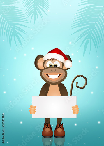 monkey at Christmas © adrenalinapura