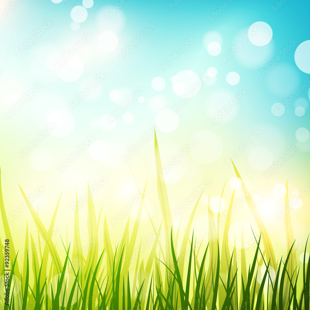 Obraz premium Spring