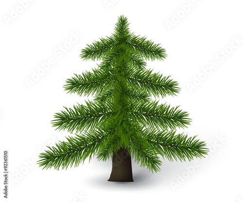 Detailed pine tree