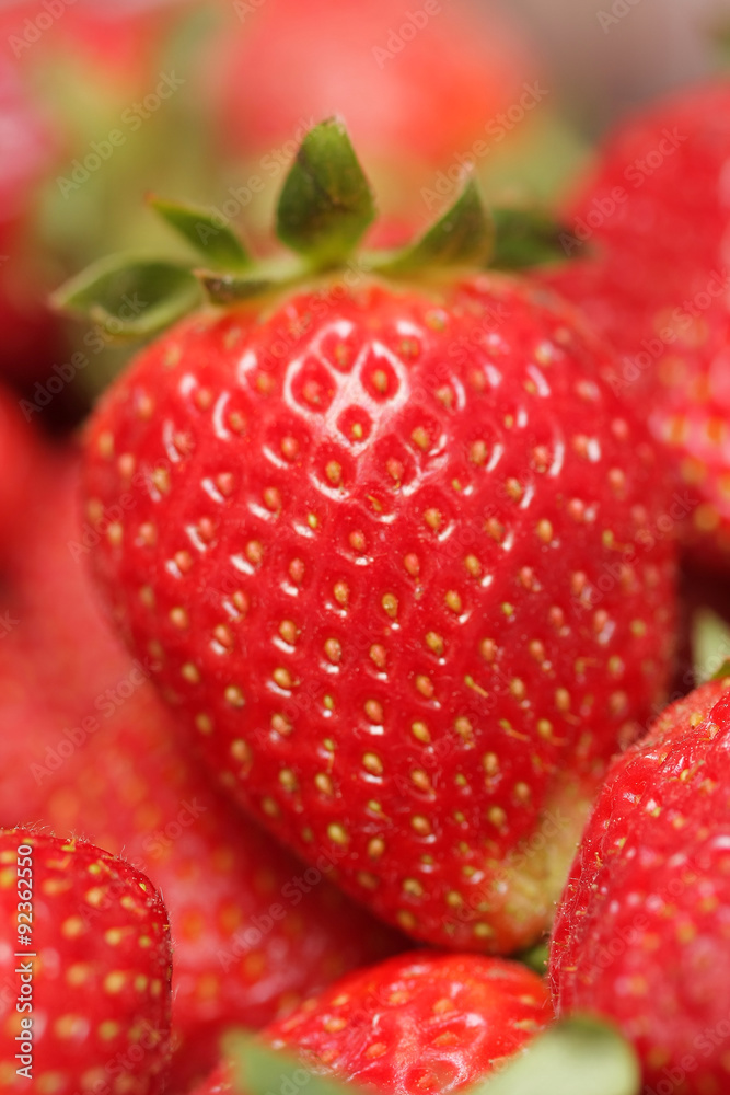 fraise fraise