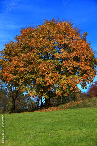 Jahreszeitenwechsel photo