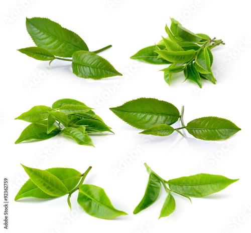 Plakat green tea leaf isolated on white background