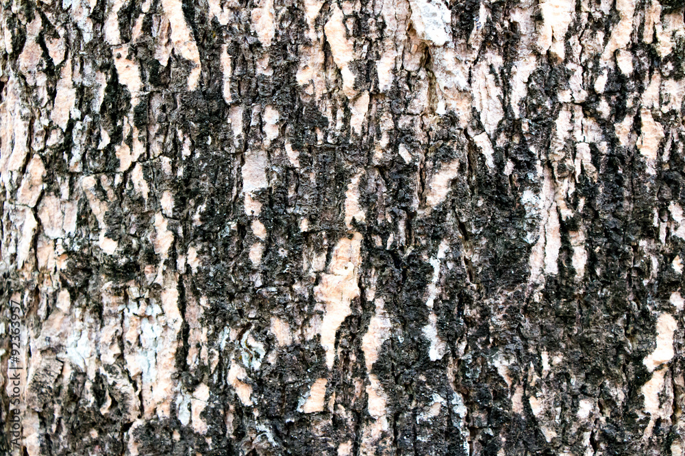 grunge wall background grunge wall background