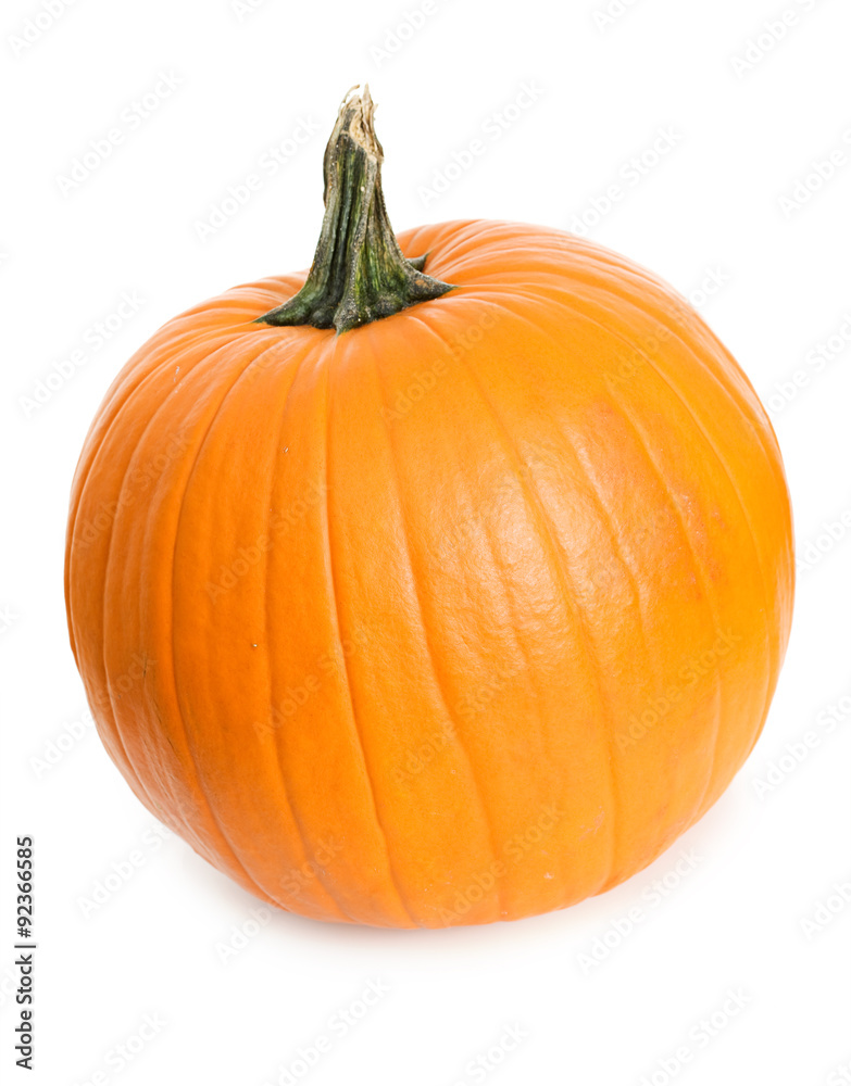 Obraz premium Pumpkin: Single Pumpkin on White