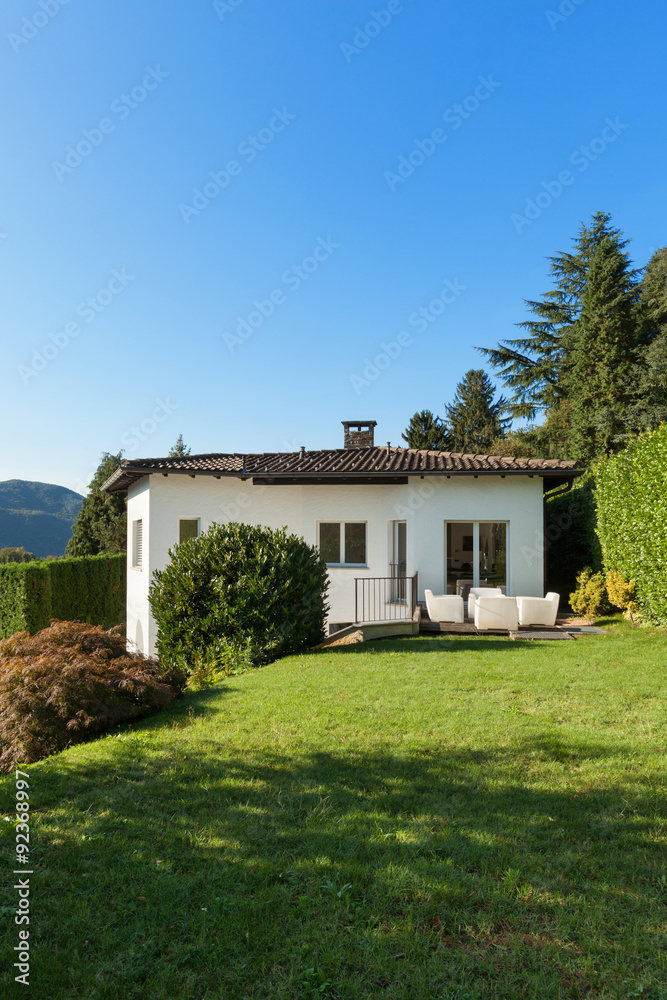 house in classic style house in classic style