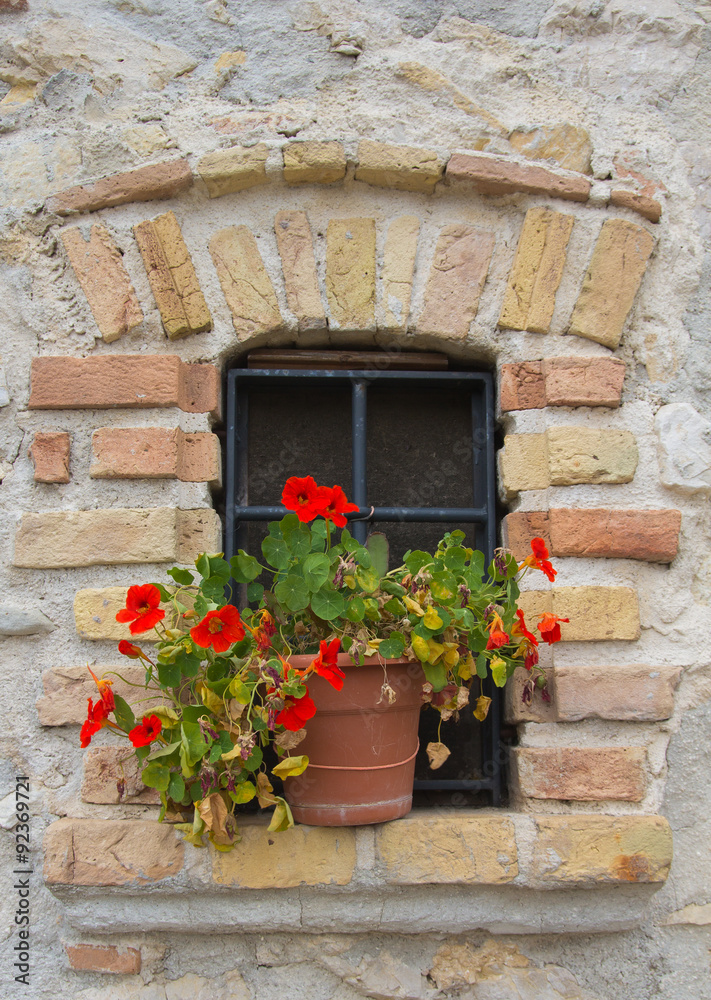 Finestra di una casa con un vaso di fiori rossi