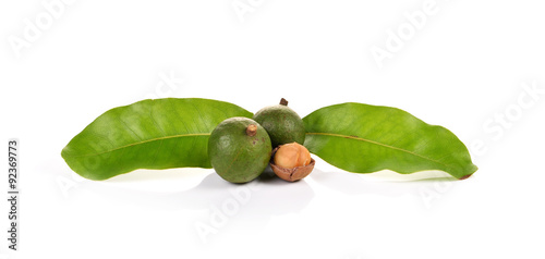 macadamia nuts on white background