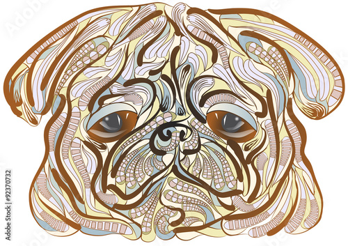 ethnic pug