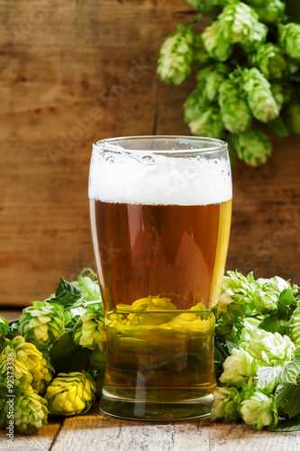 glass of foamy beer and hop cones on old wooden background, sele