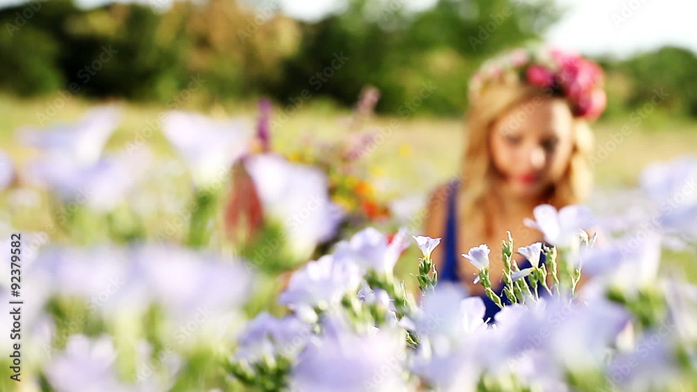 beautiful young girl collects bouquet of wildflowers HD beautiful young girl collects bouquet of wildflowers HD