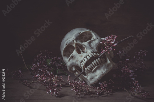 Still life photography with a human skull and branch of  flower
