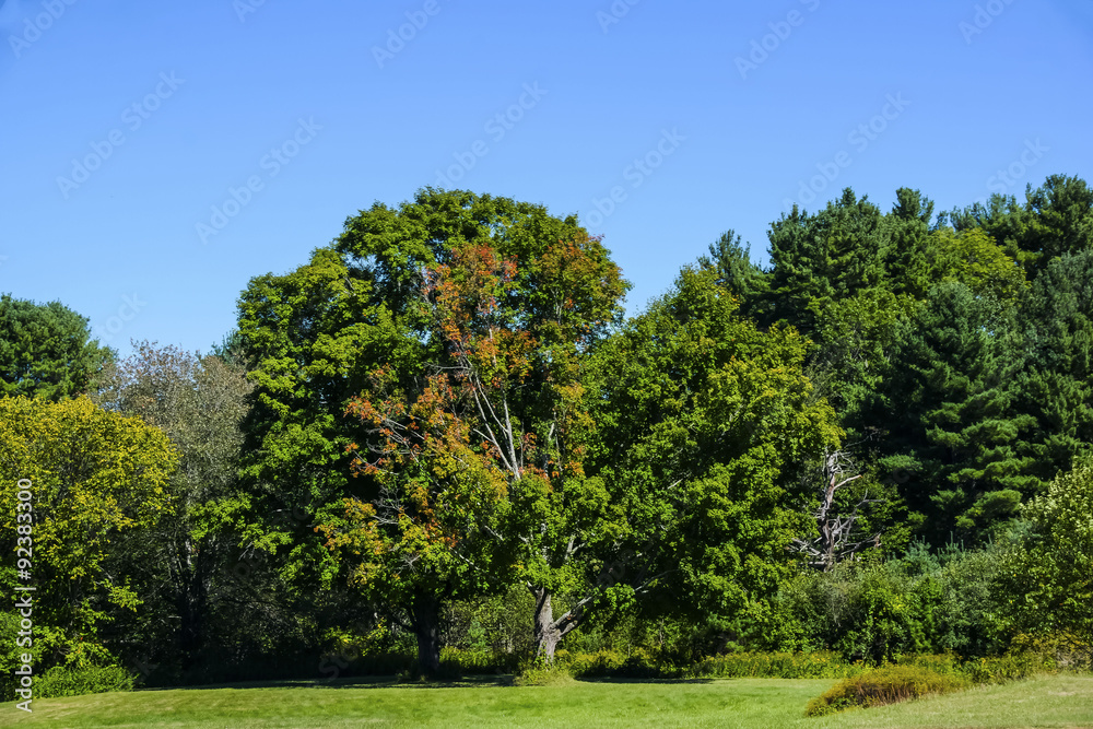 open landscapes open landscapes
