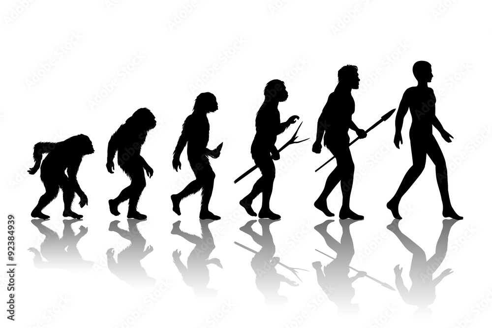Man evolution