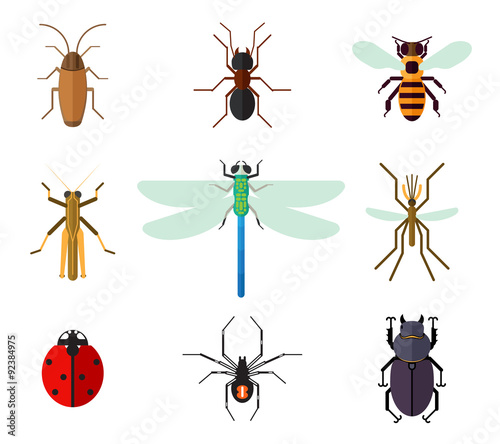 Icon set of insects in flat style