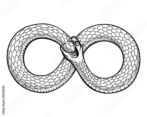 Snake curled in infinity ring. Ouroboros devouring its own tail