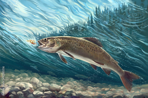 Illustration about fishing. Name of this fish - siberian trout, or lenok - at the time of capture bait.