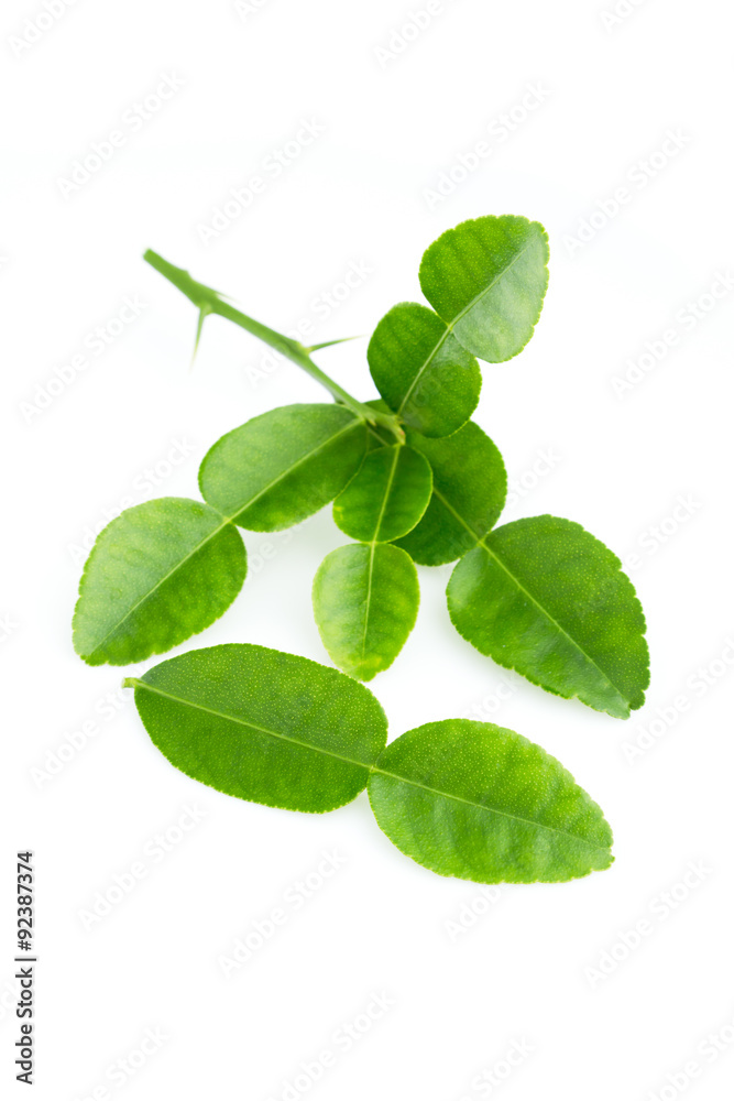 kaffir lime leaves