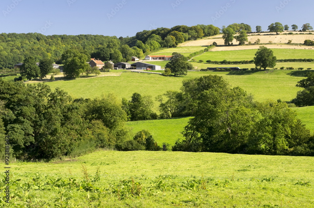 The Yorkshire Wolds are the most northern chalk hills in England, with