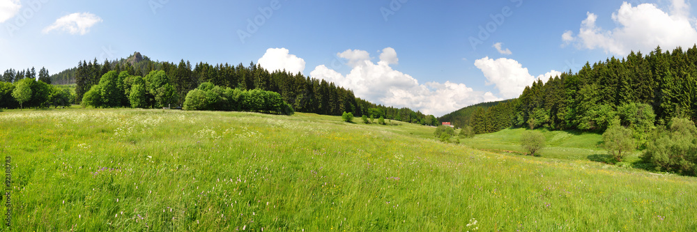 Panoramafoto Kanzlersgrund / Thüringer Wald - obrazy, fototapety, plakaty 