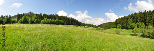 Panoramafoto Kanzlersgrund / Thüringer Wald