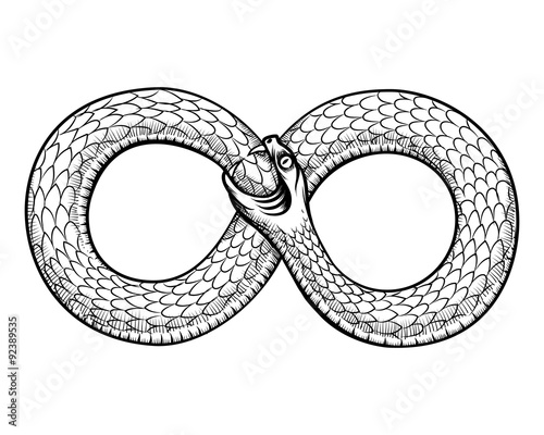 Snake curled in infinity ring. Ouroboros devouring its own tail
