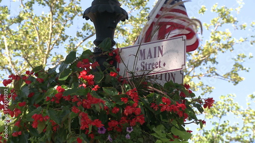 Red flowers hanging on sign for Main Street photo