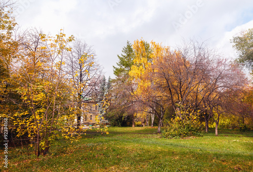 trees in a park in autumn sunny day © vladimircaribb