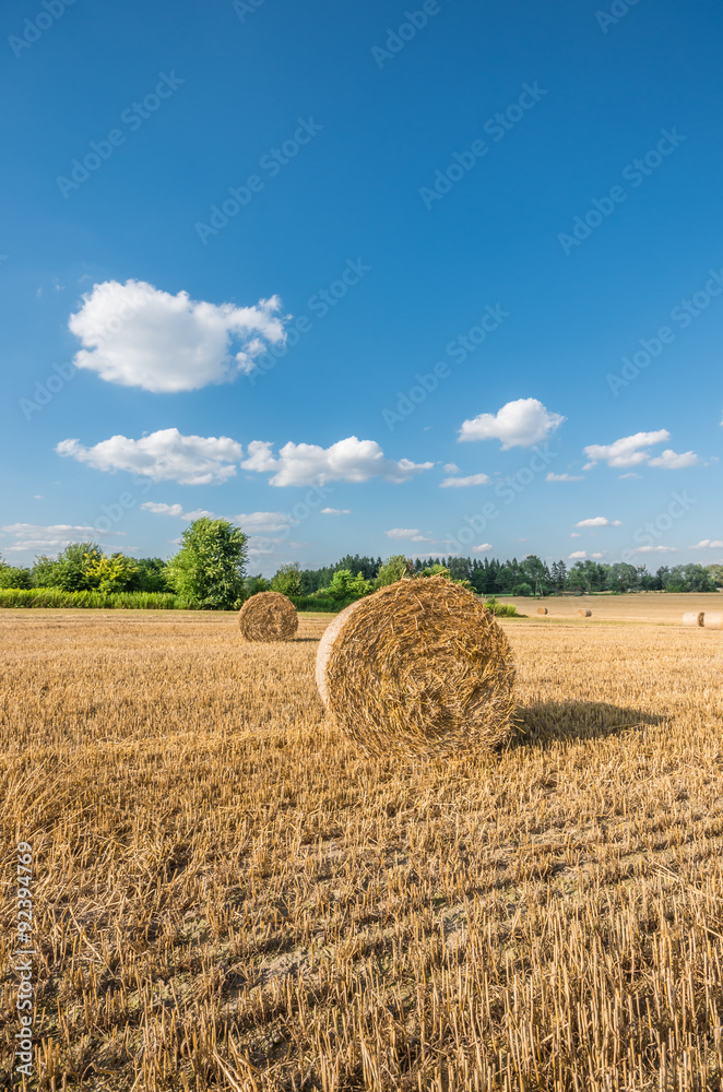 Straw bales on the stubble field beneath blue sky with clouds Straw bales on the stubble field beneath blue sky with clouds