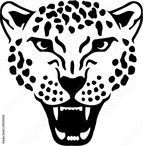 Angry leopard gepard head