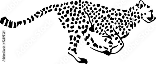 Running Leopard Gepard