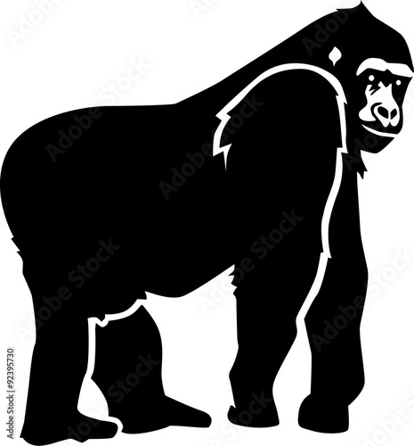 Gorilla silhouette